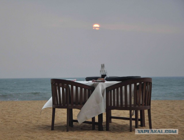 Самостоятельное путешествие в Шри-Ланку