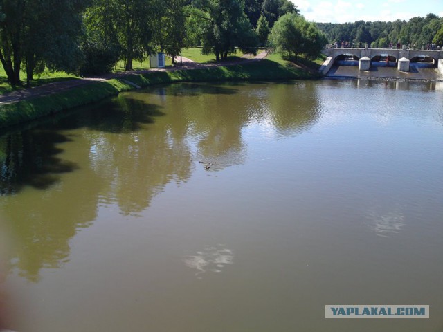 Прогулка по курганам Вятичей и языческому капищу в Царицыно