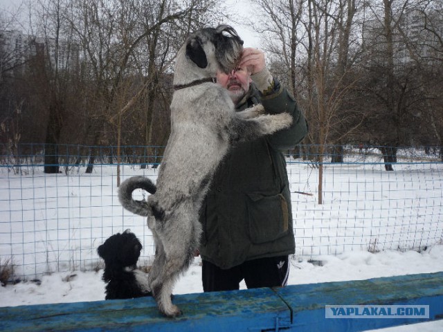 Четверг же! Хвастаемся!