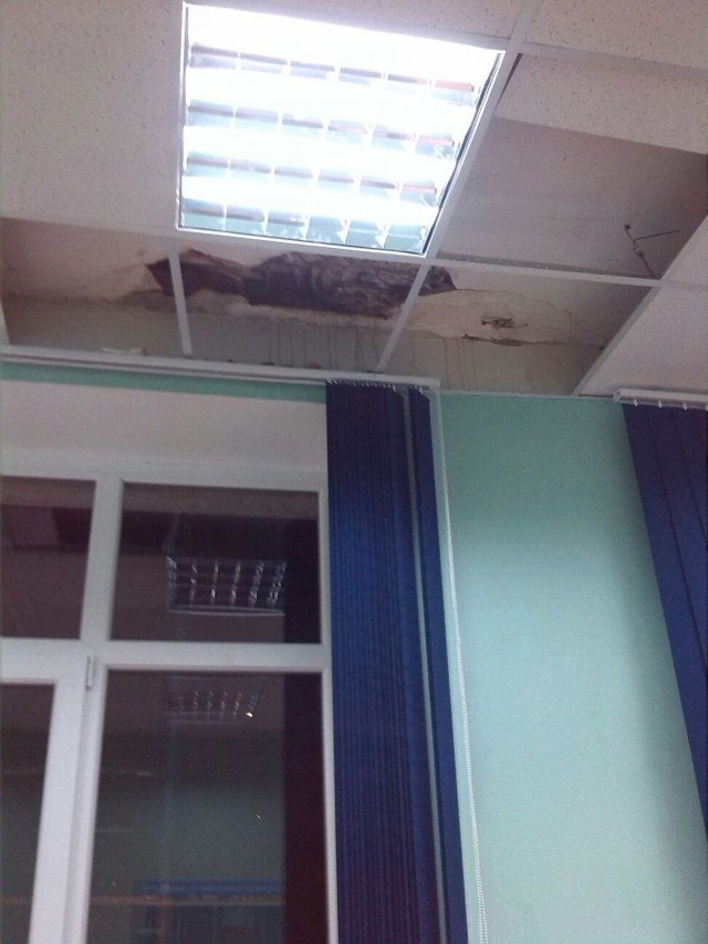 В школе Ростова-на-Дону на учеников рухнул гипсокартонный потолок
