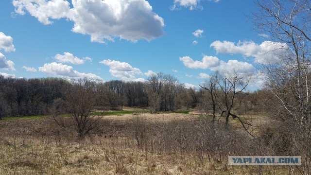 Просто Природа