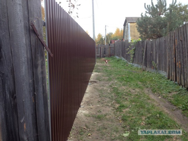 Забор, часть 2-я