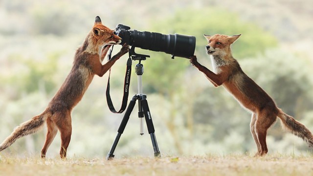 35 фотографий, которые докажут, в каком интересном мире мы живем
