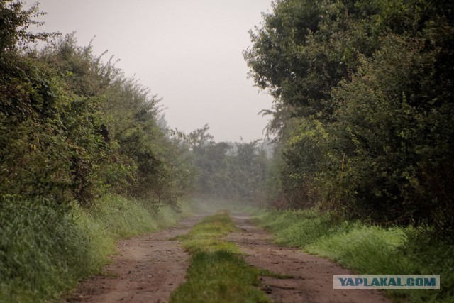 Глухомань в Германии