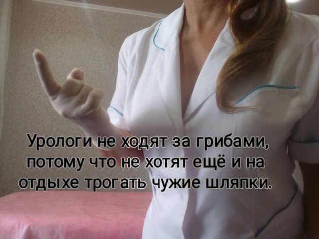 50 квадратных метров жести