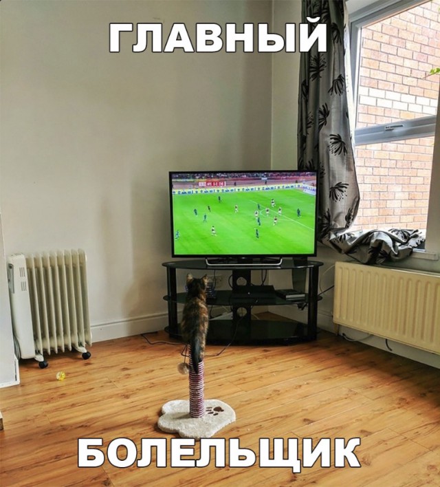 Нестандартный юмор