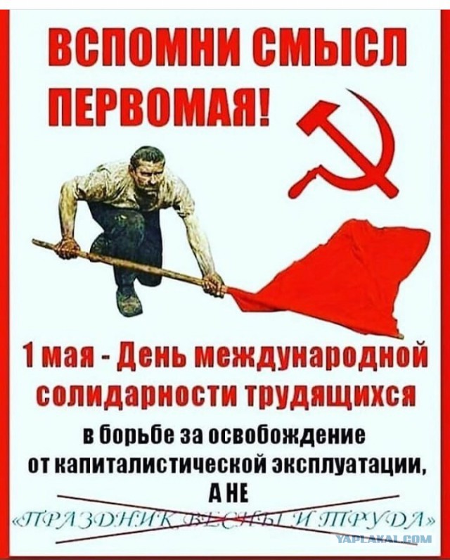 Первомай на Камчатке: полицейские отбирали у людей жёлтые жилеты