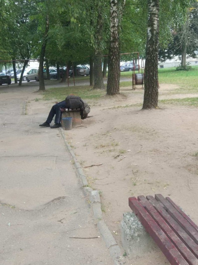 Скотсети и прочие интернеты 16.08.19