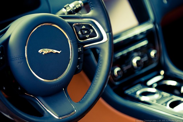 Бойцовский Клуб Jaguar