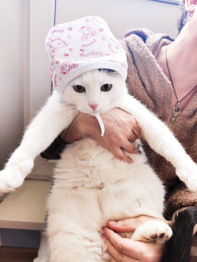 Котофеев пост