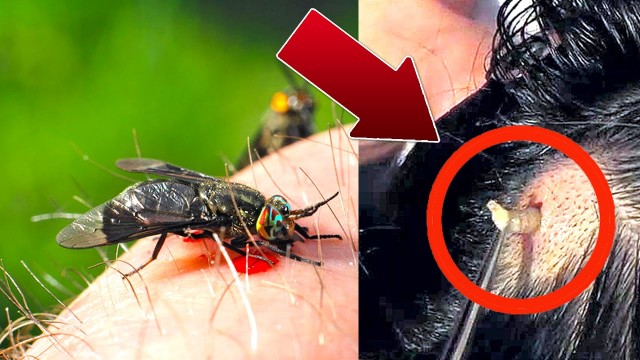 Что делать если у мужа не стоит. 10 причин и личный опыт лечения