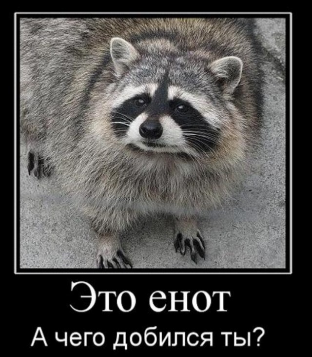 Бредзона 17.07.2020