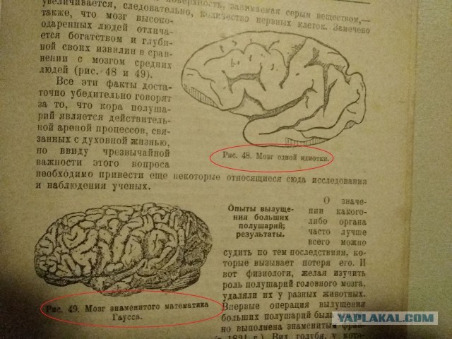 "Аэрофлот" сравнил нынешние цены на авиабилеты с временами СССР