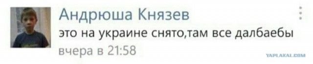 Я себя с тигром ассоциирую