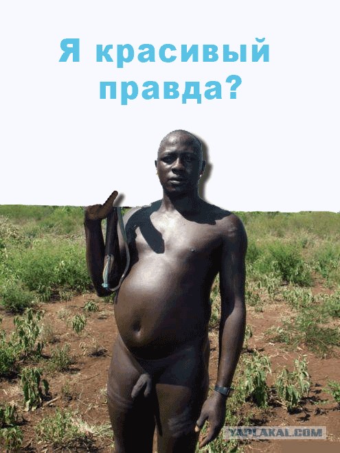 что у него в руках?