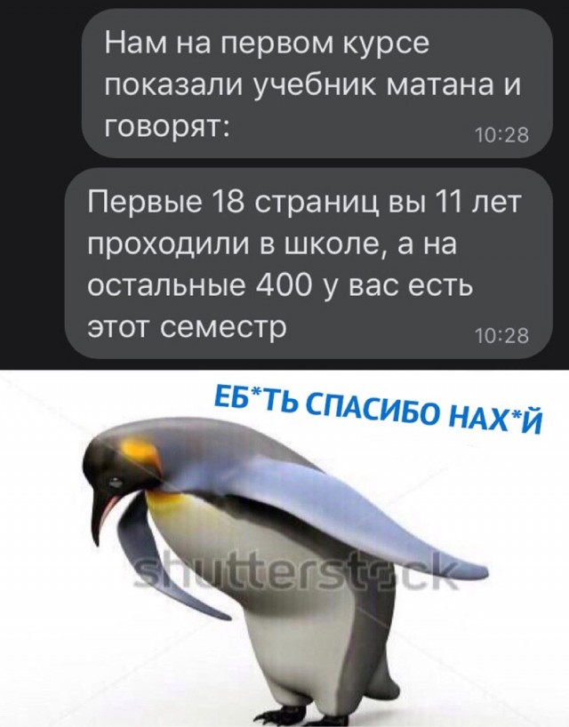 Сотня картинок для настроения 25.12.2020