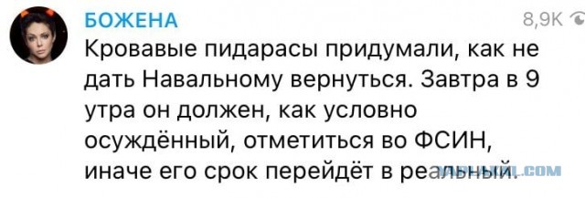 СК возбудил против Алексея Навального уголовное дело о мошенничестве в особо крупном размере
