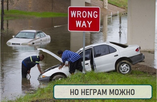 Картинки всякие 13.02.21