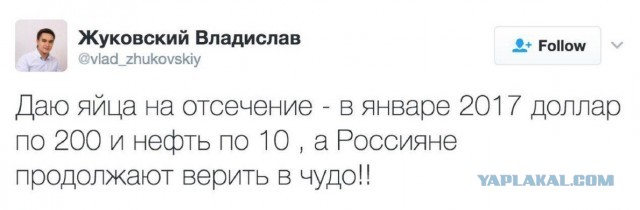"Вплоть до остановки сердца". Врачи обратились к директору ФСИН: состояние Алексея Навального близко к критическому