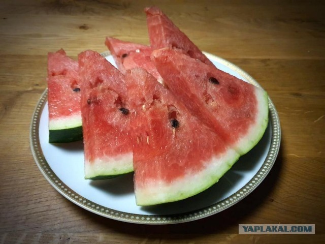 Кулинарная общалка