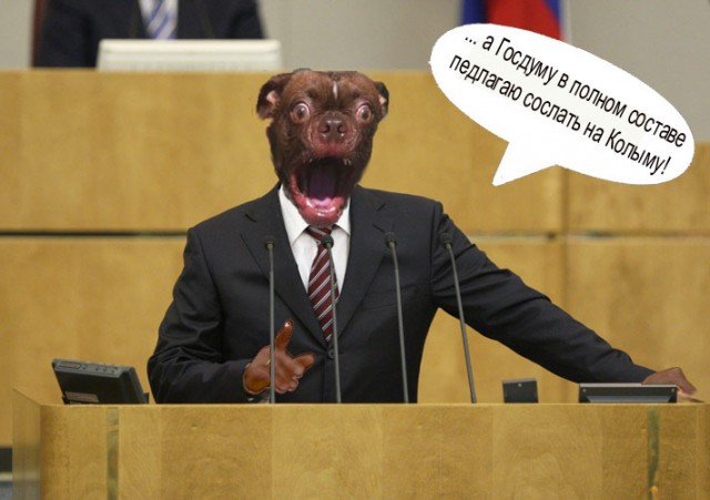 Жабельный собакен