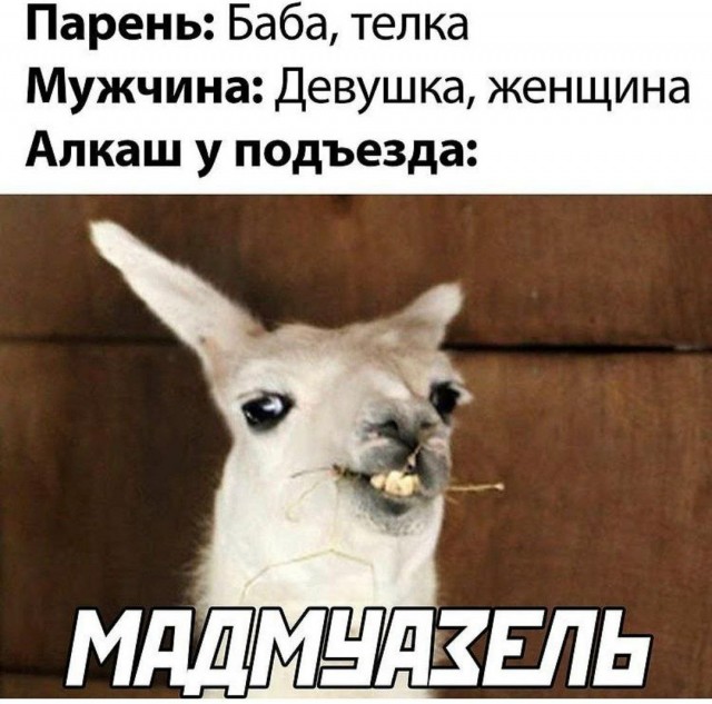Картинки для настроения