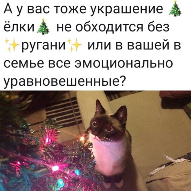 Картинки и мемы для настроения 01.12.2021