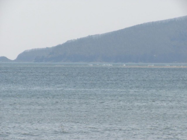Поездка на побережье Яп.моря