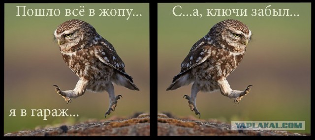 Так себе картинки 05.03.22