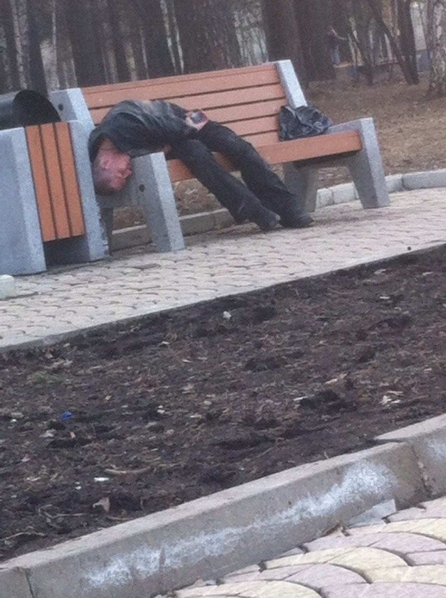 Скотсети и прочие интернеты 15.04.2022