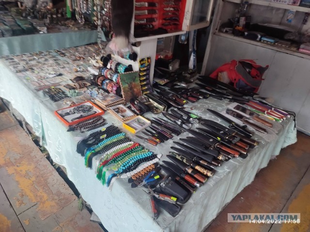 Из Казахстана в Карелию на машине