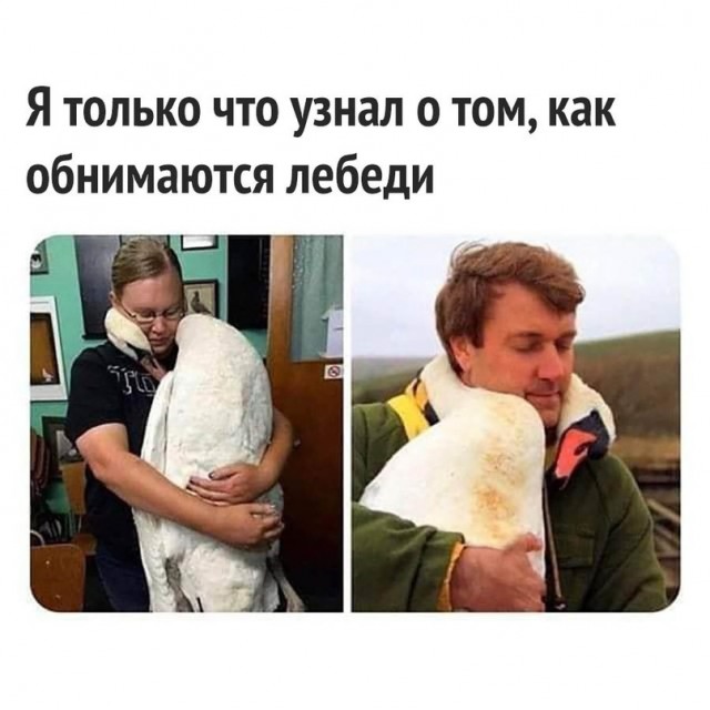 Весёлый полтишок 24.05.22