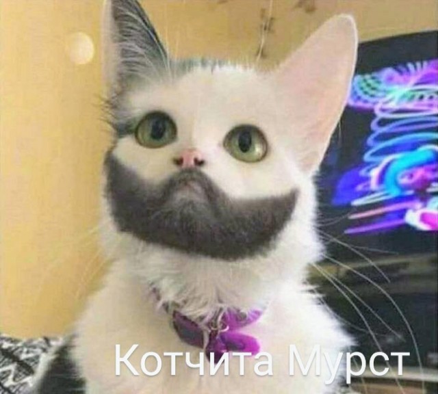 Картинки и мемы для настроения - 29