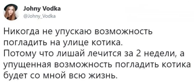 Так себе картинки 09.07.22