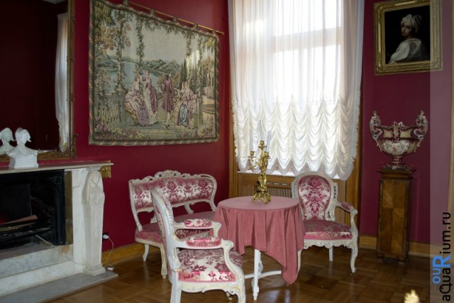 СПб глазами уставшего туриста...