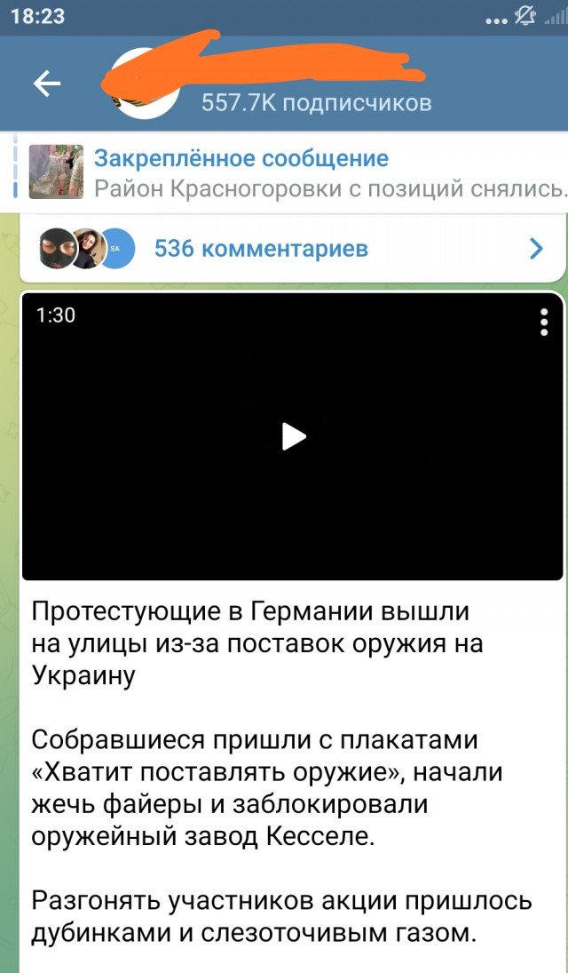 Антиправительственный митинг в немецком Кёльне.