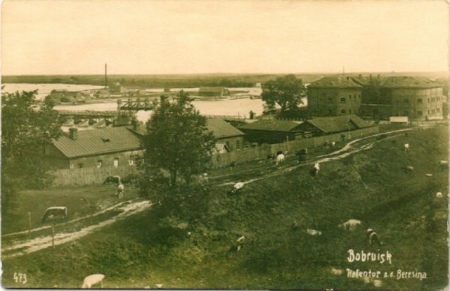 Как русские крестьяне боролись с картошкой