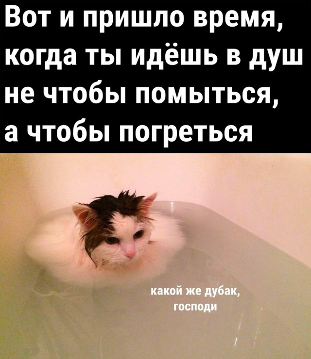 Так себе картинки 12.09.22