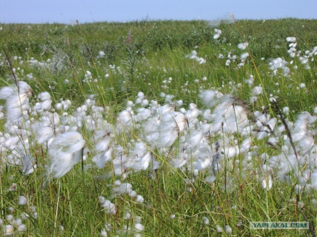 Ямал. Два времени года