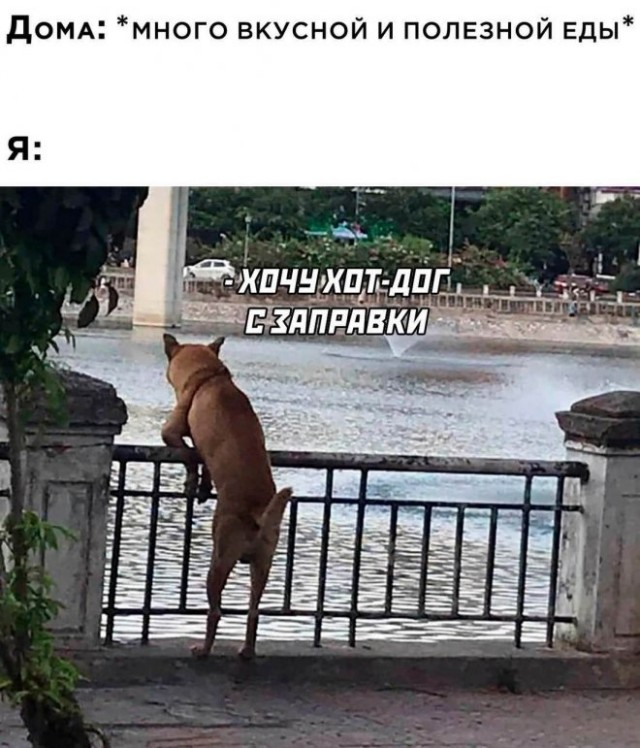 Картинки и мемы. Выходные близко...