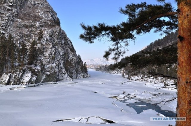 Чуток свежего воздуха