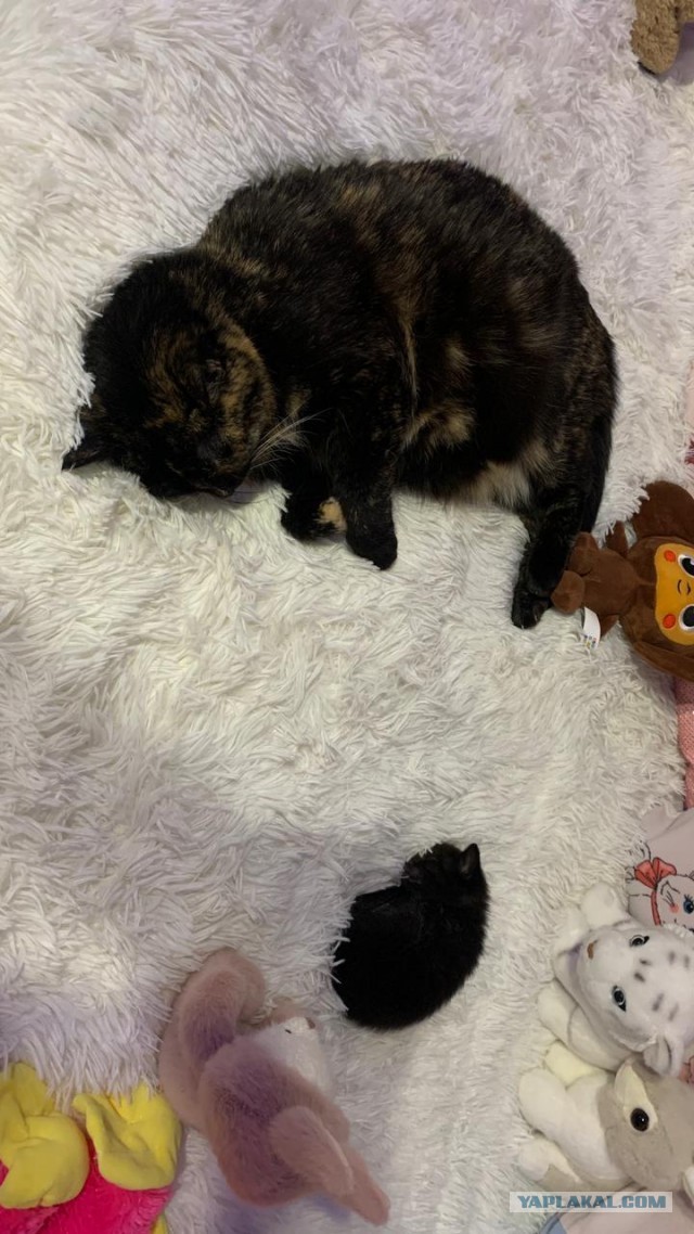 Два поколения