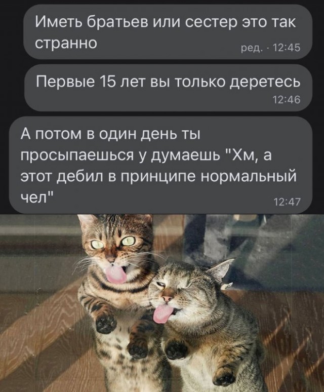 Немного картинок для настроения - 135