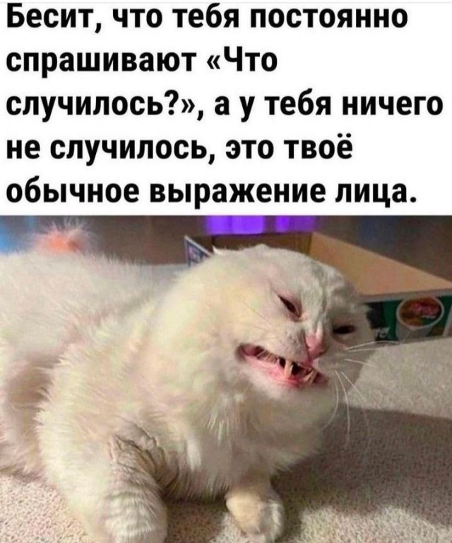 Нуштош 14.03.23