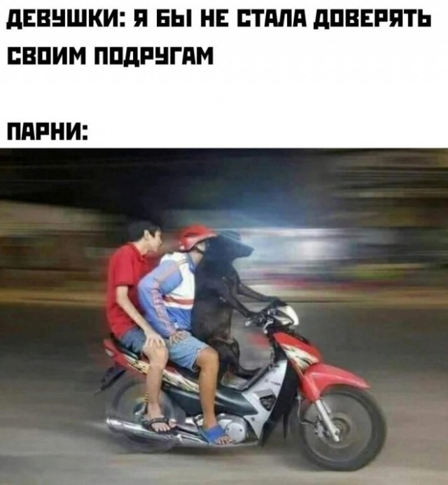 Картинки и мемы, всяко разно - 181