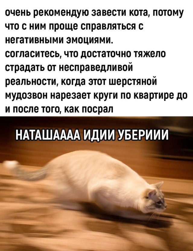 Так себе картинки 21.07.23