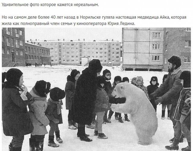 Немного картинок для старпёров, хаотично