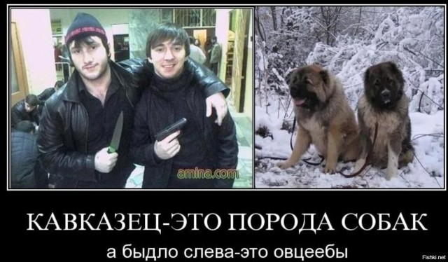 В Севастополе поймали уроженца Чечни, который грабил людей с помощью перцового баллончика