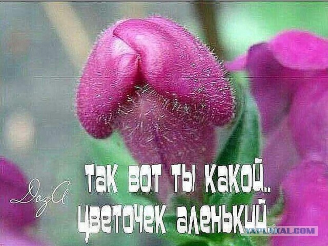 Кто на самом деле стоит за замерзанием Климовска: Охранник Путина и главарь ОПГ из 90-х.