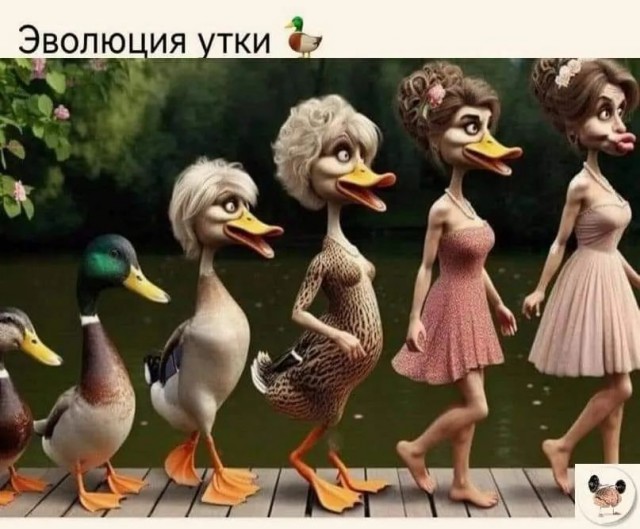Завалялось тут случайно немного забавных картинок